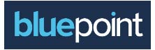 Bluepoint Leadership Development 