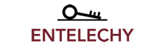 Entelechy - Top Everything Disc Solutions Providers Entelechy
