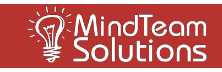 MindTeam Solutions