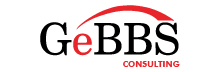 GeBBS Consulting - Top IT Staffing Companies GeBBS Consulting