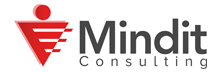 Mindit Consulting - Top Pre Employment Screening Services Companies in Europe Mindit Consulting