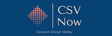 Consult Silicon Valley