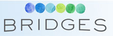 Bridges Consulting
